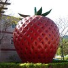 何もかもがイチゴ🍓！苗栗・大湖物語