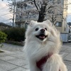 【ペット】ワクワクの春