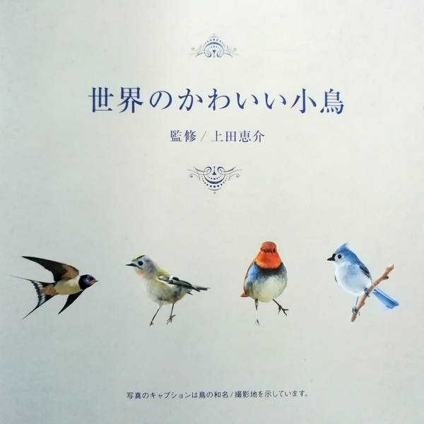 マンガ はてなブログ グループ