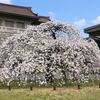 ひたすら東博を歩き回った一日（後編）