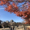 紅葉の松山城