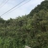 藤崎