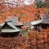 談山神社の紅葉２０２５年（１１月下旬～１２月初め）