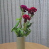 花のある生活