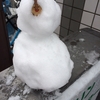 さすがの大雪に…