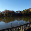 暇人と善福寺公園と