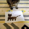 納得いかない😾🐾