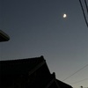 今日は立冬