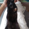 何も変わらないようで変わっていく毎日