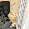 まったり中。