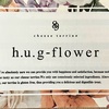 【ギフト】プレゼントや手土産におすすめ！グルテンフリーのチーズテリーヌ専門店『h.u.g-flower』