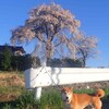今日の自然観察教室！