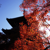 京都の紅葉2017②真如堂（真正極楽寺）