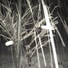 大雪じゃーい！