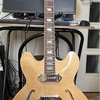 20251004 Epiphone Casino ES-230TD