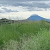 狩野川の草茫々と素手打てり(あ）