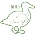 今日もカモは飛ぶ！
