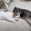 『もうひと踏ん張りじゃ！！！』の巻。。。
