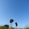 真っ赤な太陽に感動だよ（笑）