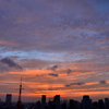 〈MH〉東京夜景。浜松町・世界貿易センタービルから