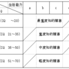 長男が実は境界域知能だった話