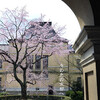 京都府庁旧館中庭