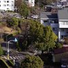 春はすぐそこ
