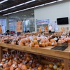 【愛媛】太陽市（おひさまいち）で地元の野菜を買って帰ろう