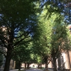 東京大学