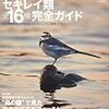 BIRDER　2012年10月号