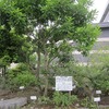 横瀬町歴史民俗資料館（埼玉県秩父郡横瀬町）