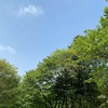 夏キャンプ初心者必見！熱中症・虫・食中毒対策とおすすめギア