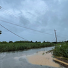 台風6号の爪痕