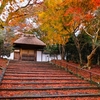 京都・安楽寺の魅力：紅葉の絶景、かぼちゃ供養、駐車場情報と御朱印の見どころ