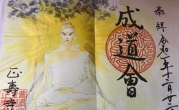 記事を見る