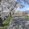 自転車の魅力と歴史