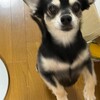 まろにー2999日目