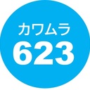 カワムラ623 (心理カウンセラーの体験談）