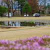 安曇野ちひろ公園の池（長野県松川）