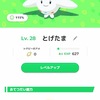 刺激…足りてますか…？＠ポケモンスリープ