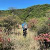 ２つの山に登りました