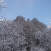 55．自然を詠んだ歌（２）淡雪