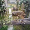 細かなお仕事ですが～