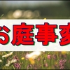 庭に青々と茂る草の正体判明!真冬の草取りは寒すぎました。