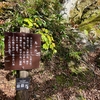 切り分け（金門）の「鳥ヶ池」（大山七池）（鳥取県大山）