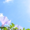 1+第143歩　自分から元気を生み出して