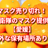 マスク売り切れ！自衛隊のマスク提供【愛媛県】 意外な保有場所あり！