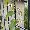 罪を犯す者は罪の奴隷