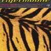 Was There Then vol.1: THE HIGH-LOWS / Tigermobile