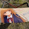 洗車機って痛車の洗車に使ってもいいの？